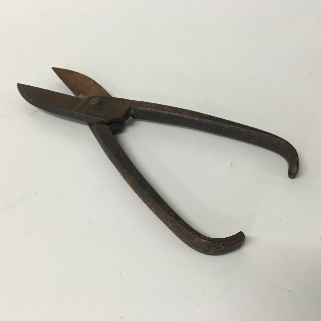 TOOL, Hand Tool - Old Snippers